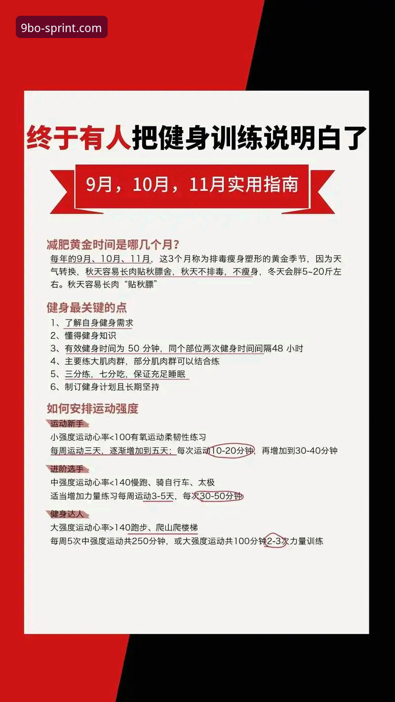 博体育怎么样官方下载 9博体育平台注册与官方下载全流程实用指南